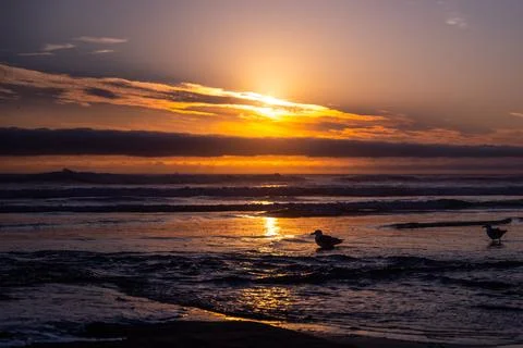 Sunset at Cannon Beach Stock Photos