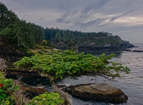 Sunset in Cape Flattery Stock Photos