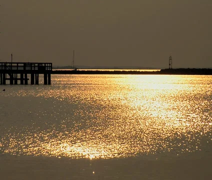 Sunset at Cape Henlopen State Park, Delaware Видео 39454257
