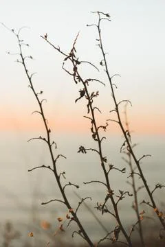 Sunset at the cape Stock-Fotos