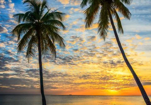 Sunset in the Caribbean Stock Photos