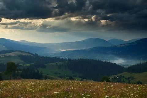 Sunset in carpathian mountains - beautiful summer landscape, spruces on hills Stock Photos