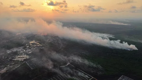 Sunset casts golden glow over smoky forest Vídeo Stock 333057747