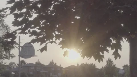 Sunset casts a warm glow over a basketball court, nestled among lush trees Stock Footage 246430340