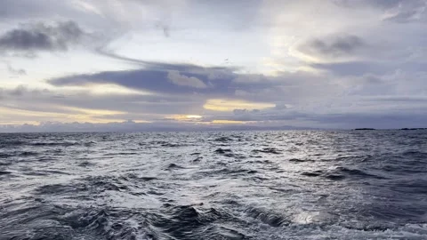 Sunset Catamaran Wake Stock Footage 283772549