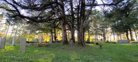 Sunset in a Cemetery Stock Footage 144685677
