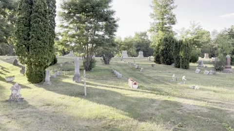 Sunset in the cemetery Stock Footage 155888645
