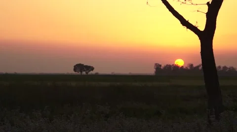 Sunset Central Plains Stock Footage 54807845