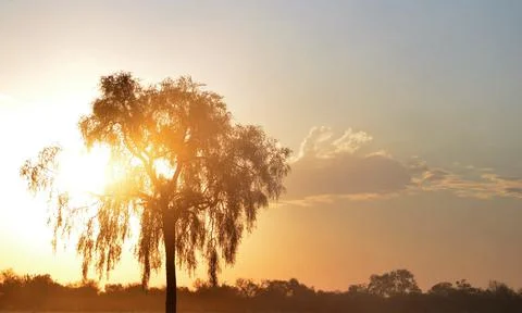 Sunset in chaco paraguay Stock Photos