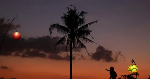 Sunset Child 4k Stock Footage 44382408