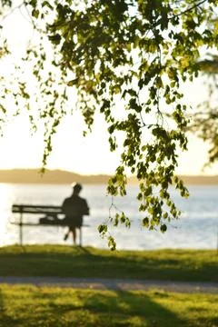 Sunset chill Stock Photos