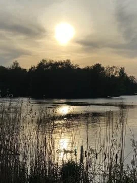 Sunset Chorlton Water Park Stock Photos