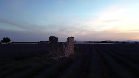 Sunset Circling Around Stone Building on Lavender Field at Sunset Drone Aer.. Stock Footage 313450936