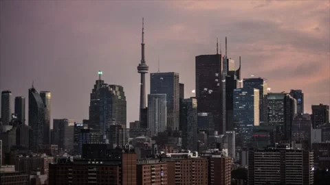 Sunset City Flight: Seagulls Soar Over Skyscrapers Stock Footage 325329328