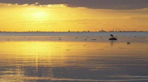 Sunset with city in the horizon Stock Footage 66423281