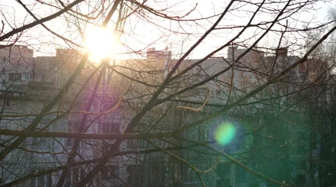 Sunset in City Park on Cold Day 스톡 동영상 58697075