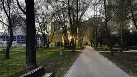 Sunset in the city park, evening sunset in the city Stock Footage 244260828