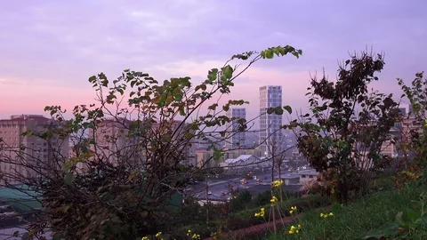 Sunset in city park, Turkey Video stock 101855150