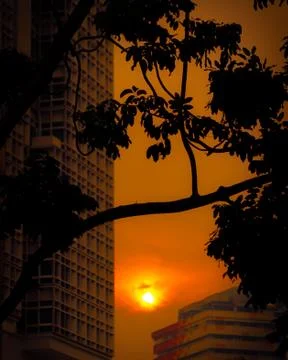 Sunset in the city Stock-Fotos