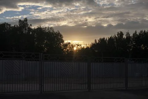 Sunset in the city. The sun sets between the trees. Stock Photos