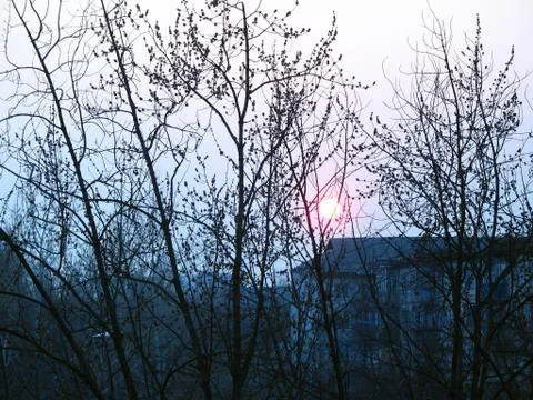 Sunset in the city view through tree branches from the window. Sleeping quarters Stock Photos