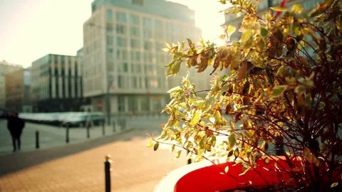 Sunset in city. Warsaw. Stock Footage 70508101