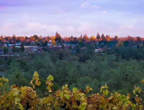 Sunset of citym timelaps. 4k ultrahd video. Stock Footage 14623222
