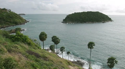 Sunset at cliff with sugar palm trees. Stock Footage 67271273