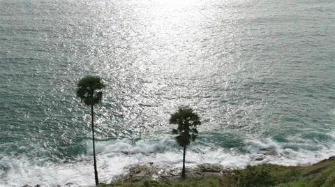 Sunset at cliff with sugar palm trees. Stock Footage 67271526