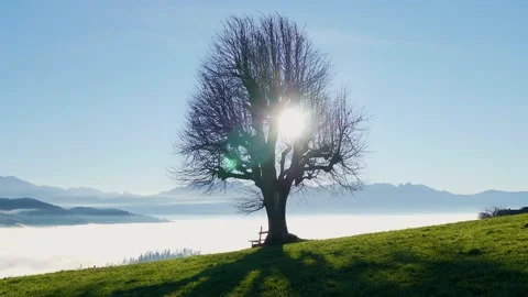 Sunset Climate Change from Fall Season to Windy Winter Weather Video stock 168092518