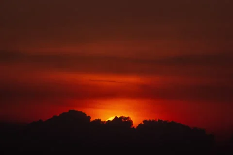 Sunset close-up Stock Footage 233666272