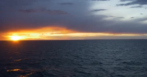 Sunset closeup Video stock 50768696