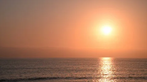 Sunset Closeup Torrey Pines State Park Beach California Vídeos de archivo 97597470