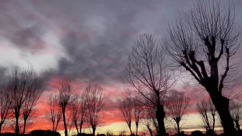 Sunset with cloud and bare trees 動画素材 168388489