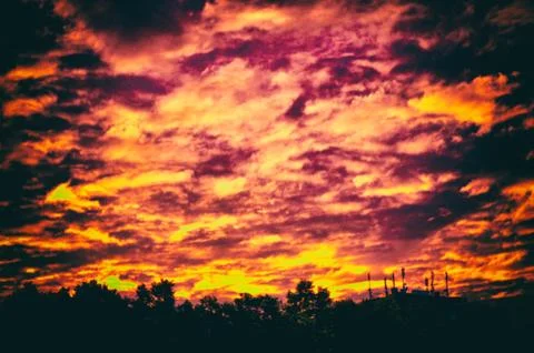 Sunset cloud red orange siluette tree black halloween Stock Photos