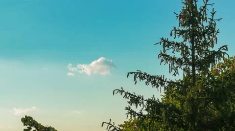 Sunset cloud tree Stock Footage 67880405