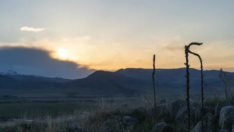 Sunset cloud wall and weeds Stock Footage 167061046