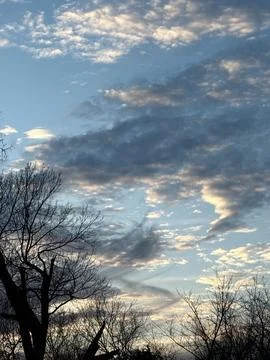Sunset Clouds Above Dark Bare Tree Silhouettes Stock Photos