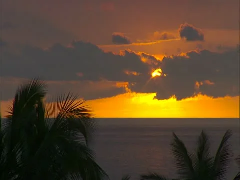 Sunset with Clouds and Palm Trees Stock Footage 22243661