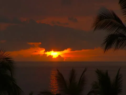 Sunset with Clouds and Palm Trees Stock-Footage 22243663