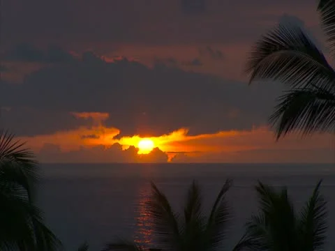 Sunset with Clouds and Palm Trees Stock Footage 22243664