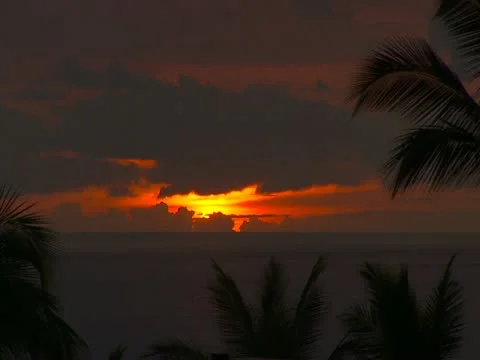 Sunset with Clouds and Palm Trees Video stock 22243665