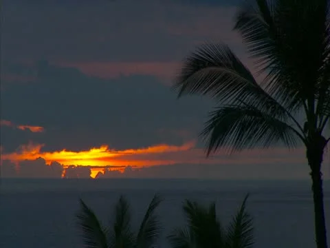 Sunset with Clouds and Palm Trees Stock-Footage 22243667