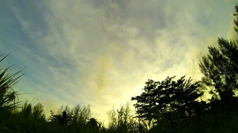 Sunset clouds and tree silhouettes time lapse. 4K Stock Footage 40687605