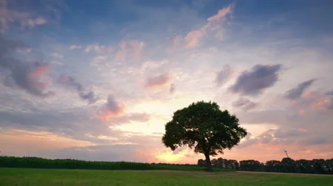 Sunset clouds and tree time lapse long 4k UHD Stock Footage 52008950