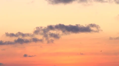 Sunset clouds &amp; birds Video stock 24638438