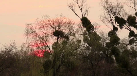 Sunset with clouds, evening Stock Footage 32271864