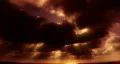 Sunset Clouds with flying bird HD Footage