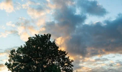 Sunset clouds glowing orange and gold above a dark tree silhouette at dusk, Stock Photos
