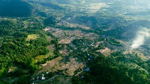 Sunset Clouds Over Jungle Stock Photos